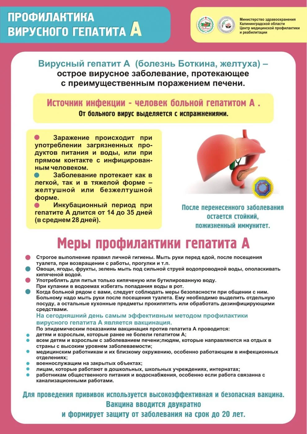 Профилактика вирусного гепатита А