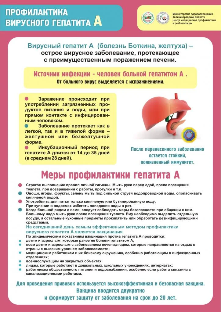 листовка_гепатитА4.jpg