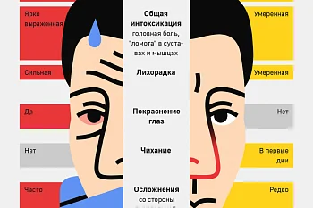 РЕКОМЕНДАЦИИ ГРАЖДАНАМ ПО ПРОФИЛАКТИКЕ ГРИППА И ОРВИ