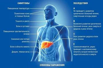 Г Е П А Т И Т