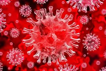 Профилактика новой короновирусной инфекции COVID-19